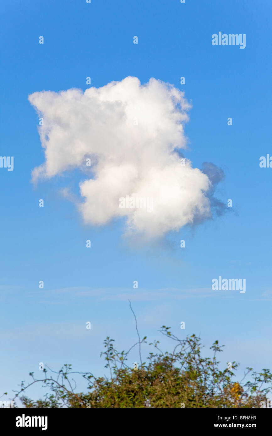 Cumulus cloud Stock Photo