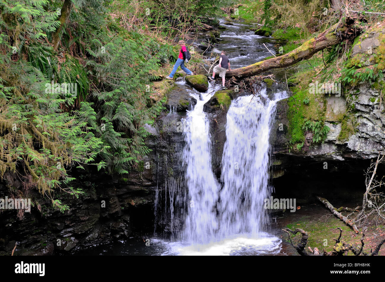 Two boys crossing waterfall at Stocking Creek Park in Saltair, BC Stock