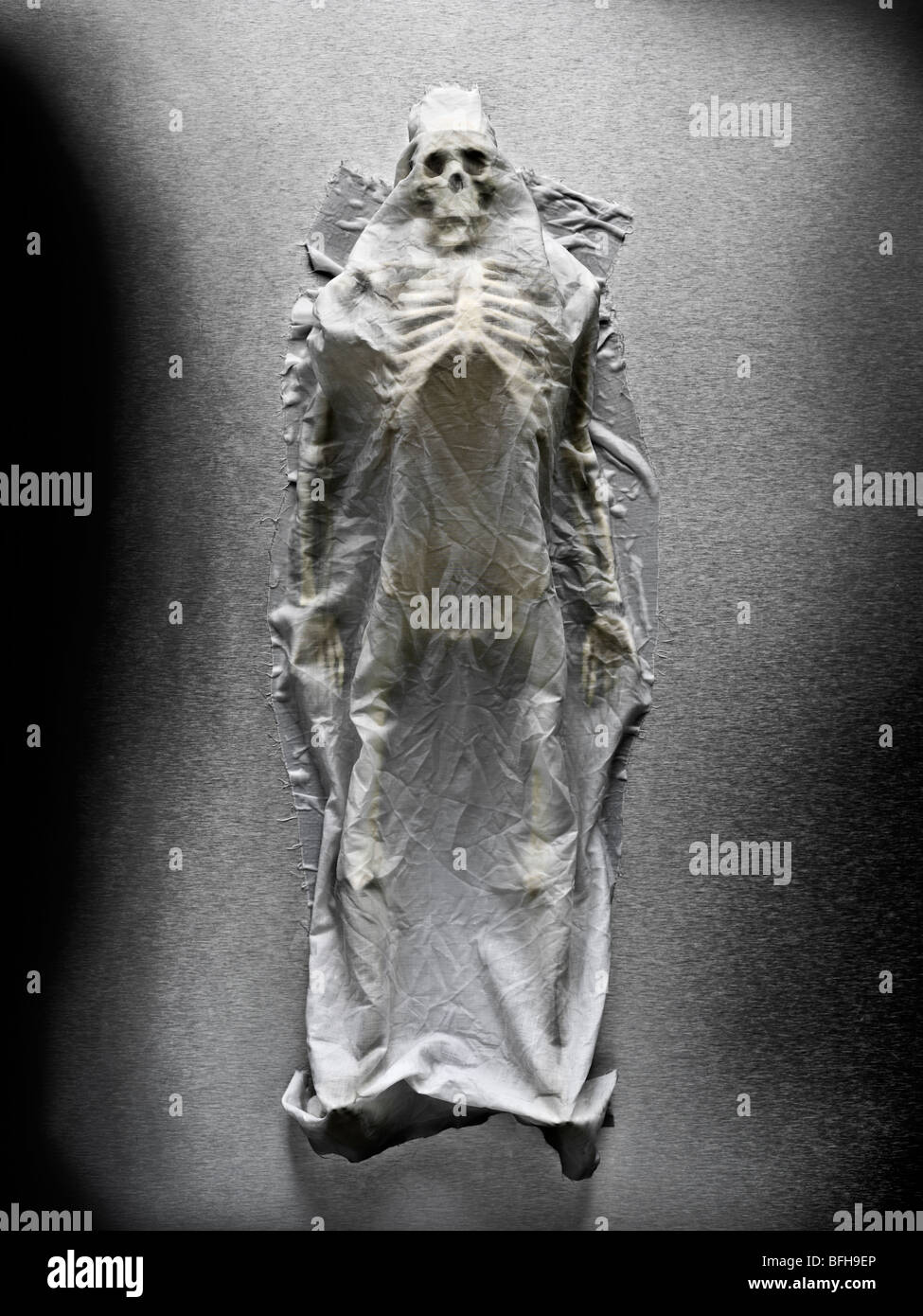 human skeleton model covered with a cloth Stock Photo