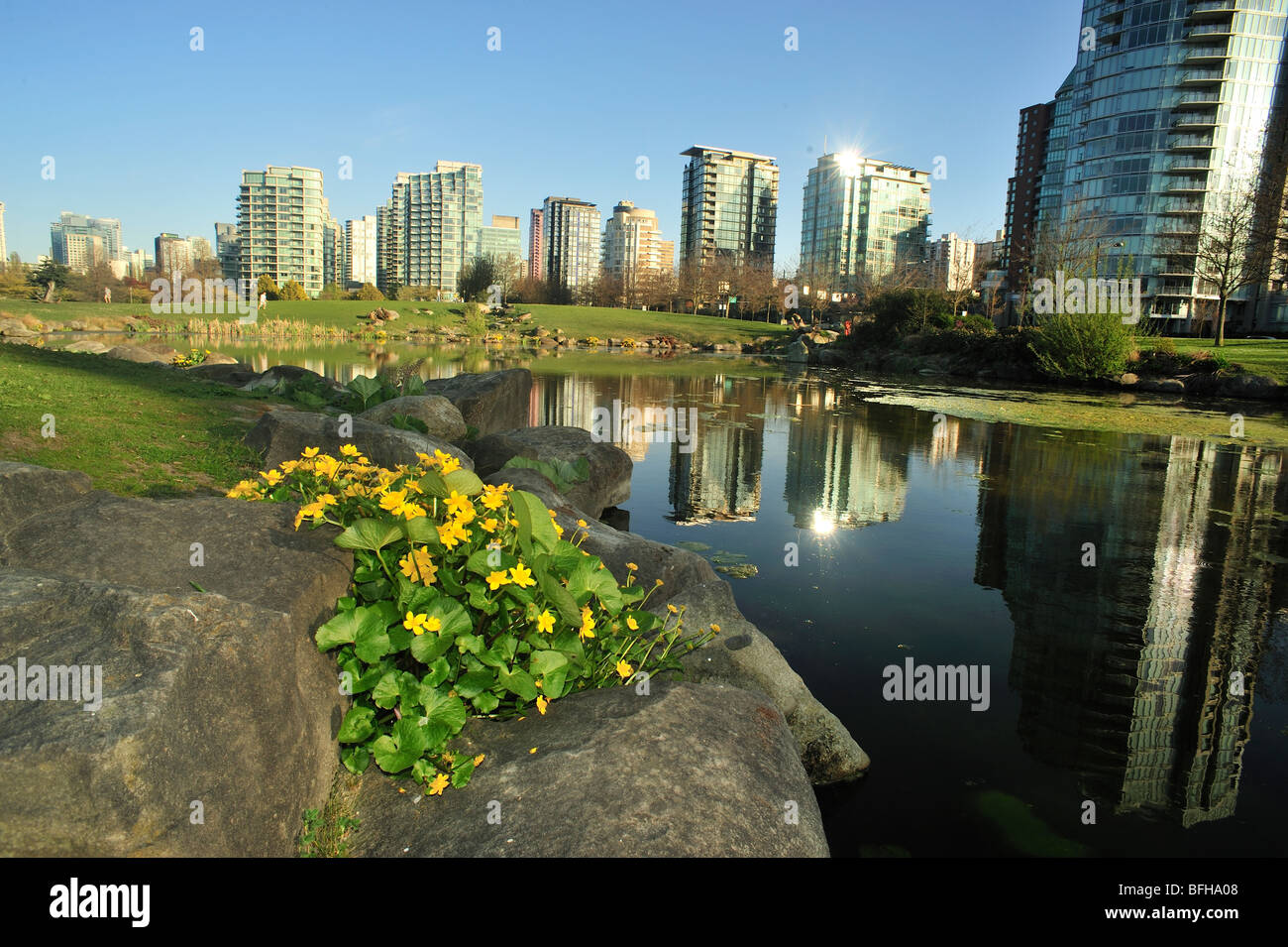 Devonian Harbour Park and Coal Harbour highrises, Vancouver, British Columbia, Canada Stock Photo