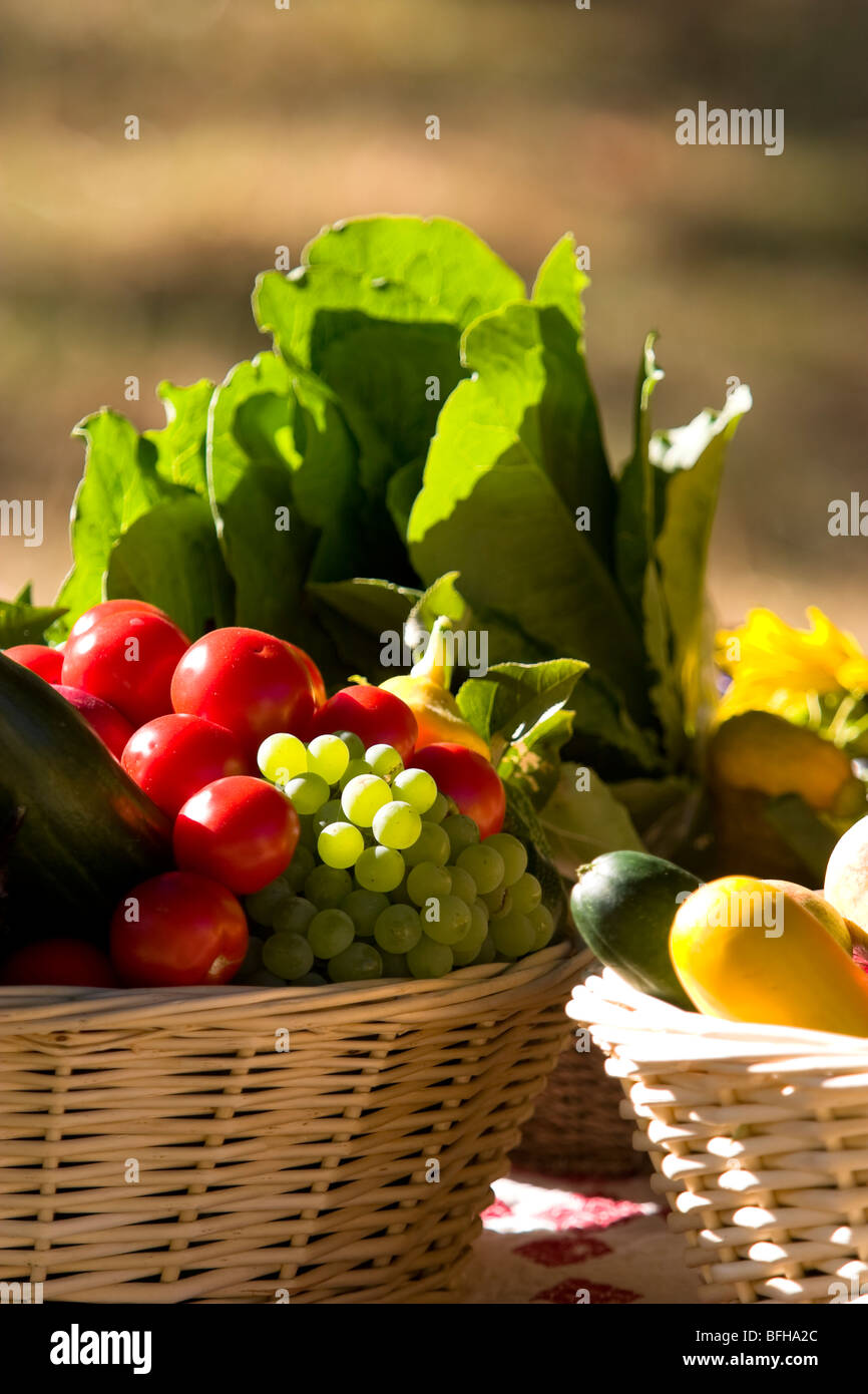 A fall fair fruit and vegetable basket at the Hornby Island fall fair
