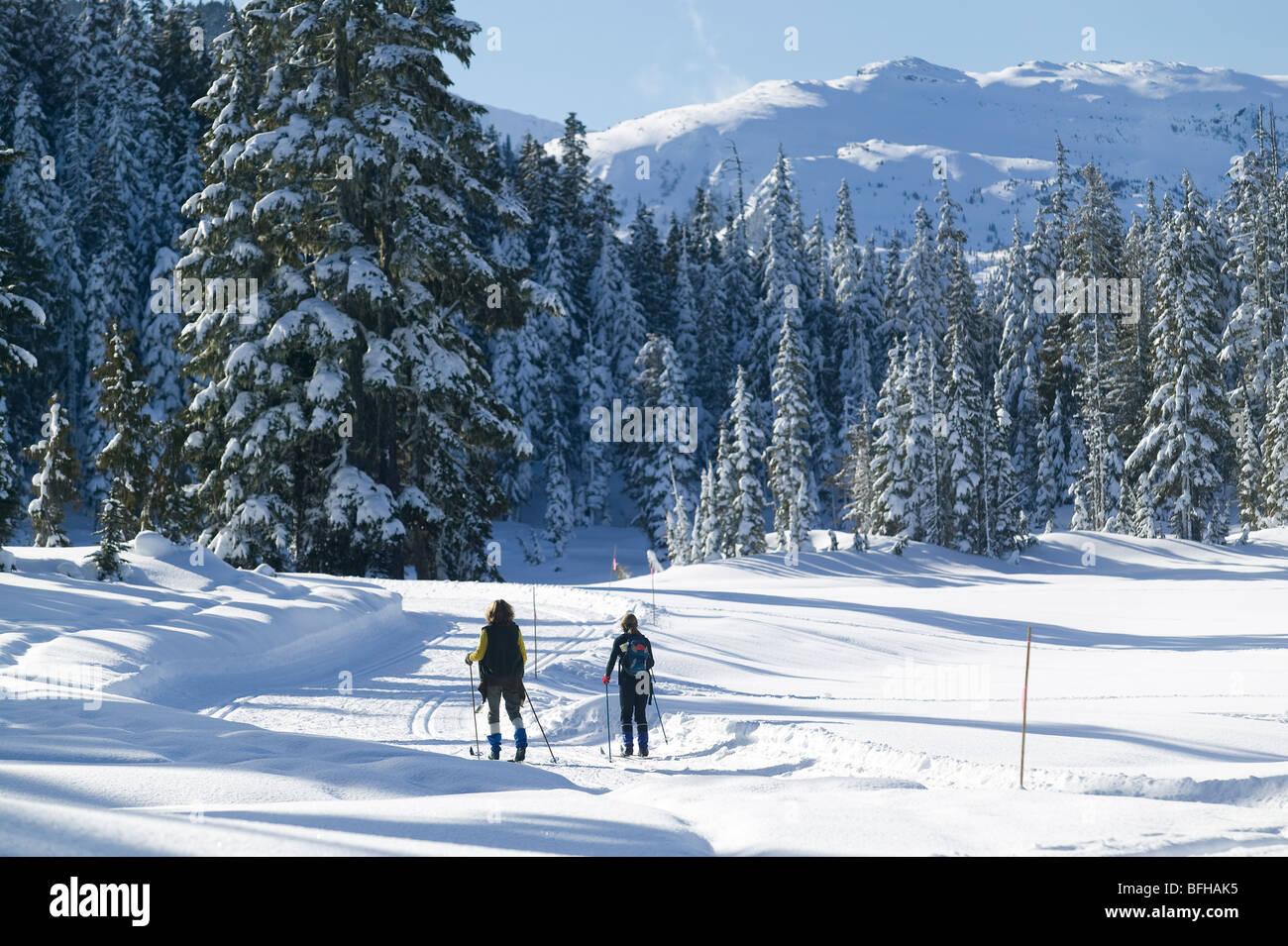 Two Cross Country Skiers ski the track set trails in Paradise Meadows
