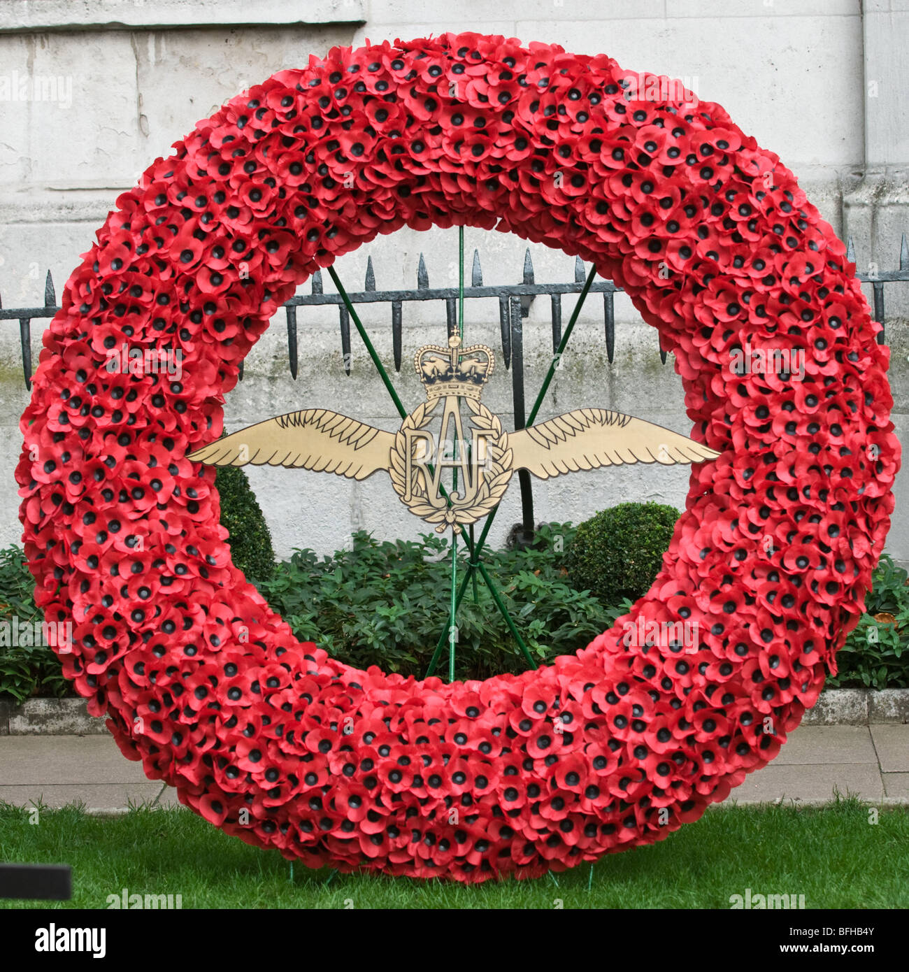 Red poppy's displayed at Westminster London. Remembrance Sunday Stock