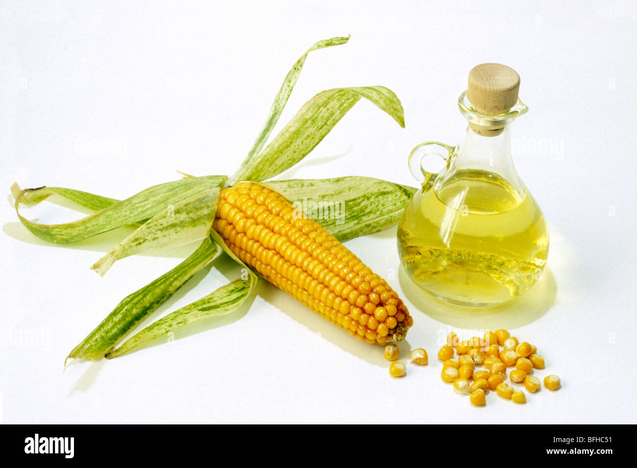 Corn, Maize (Zea mays), cone and a little bottle of oil, studio picture. Stock Photo