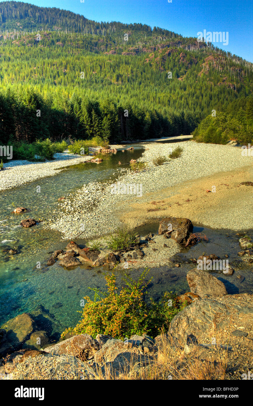 Taylor River, Vancouver Island, British Columbia, Canada Stock Photo