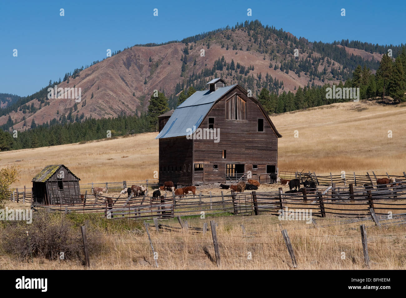 Eastern washington grasslands hi-res stock photography and images - Alamy