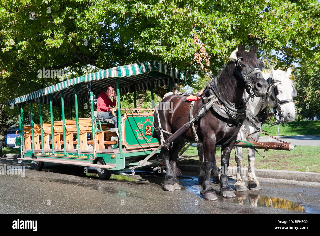 stanley park horse drawn carriage