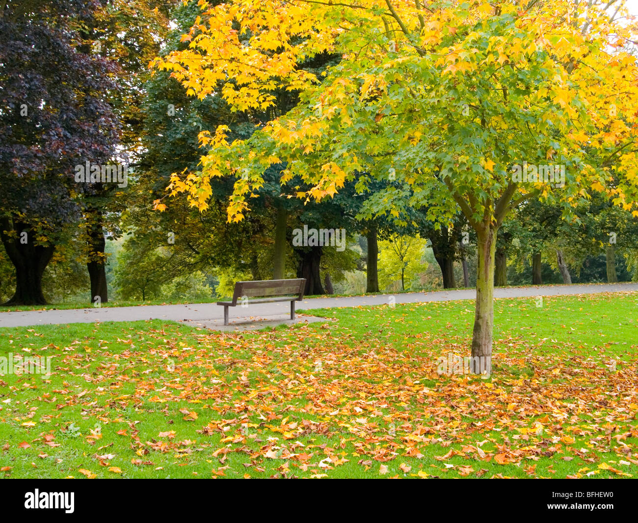 Autumn at Woodthorpe Park in Nottingham, Nottinghamshire England UK ...