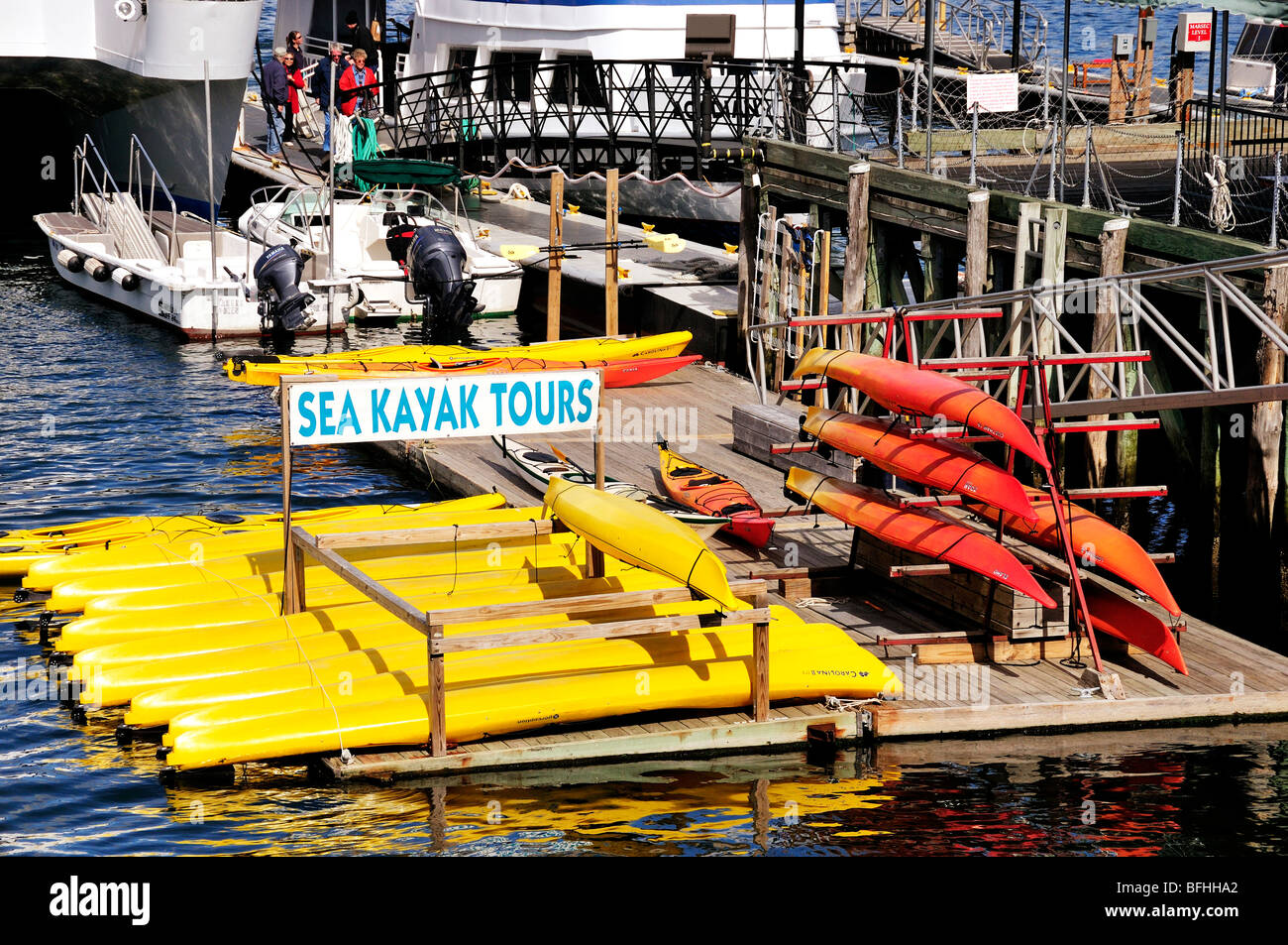 Stacks and rows of Kayaks wait on a dock for tourist tours in Frenchman's Bay, Mt. Desert Island