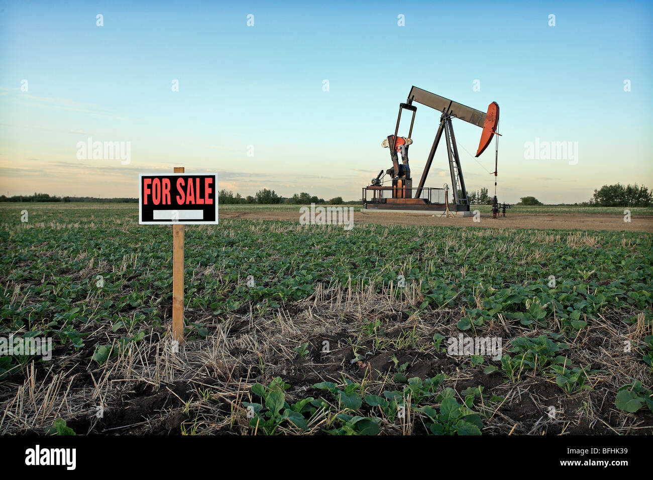 Pump jack with for sale sign Stock Photo Alamy