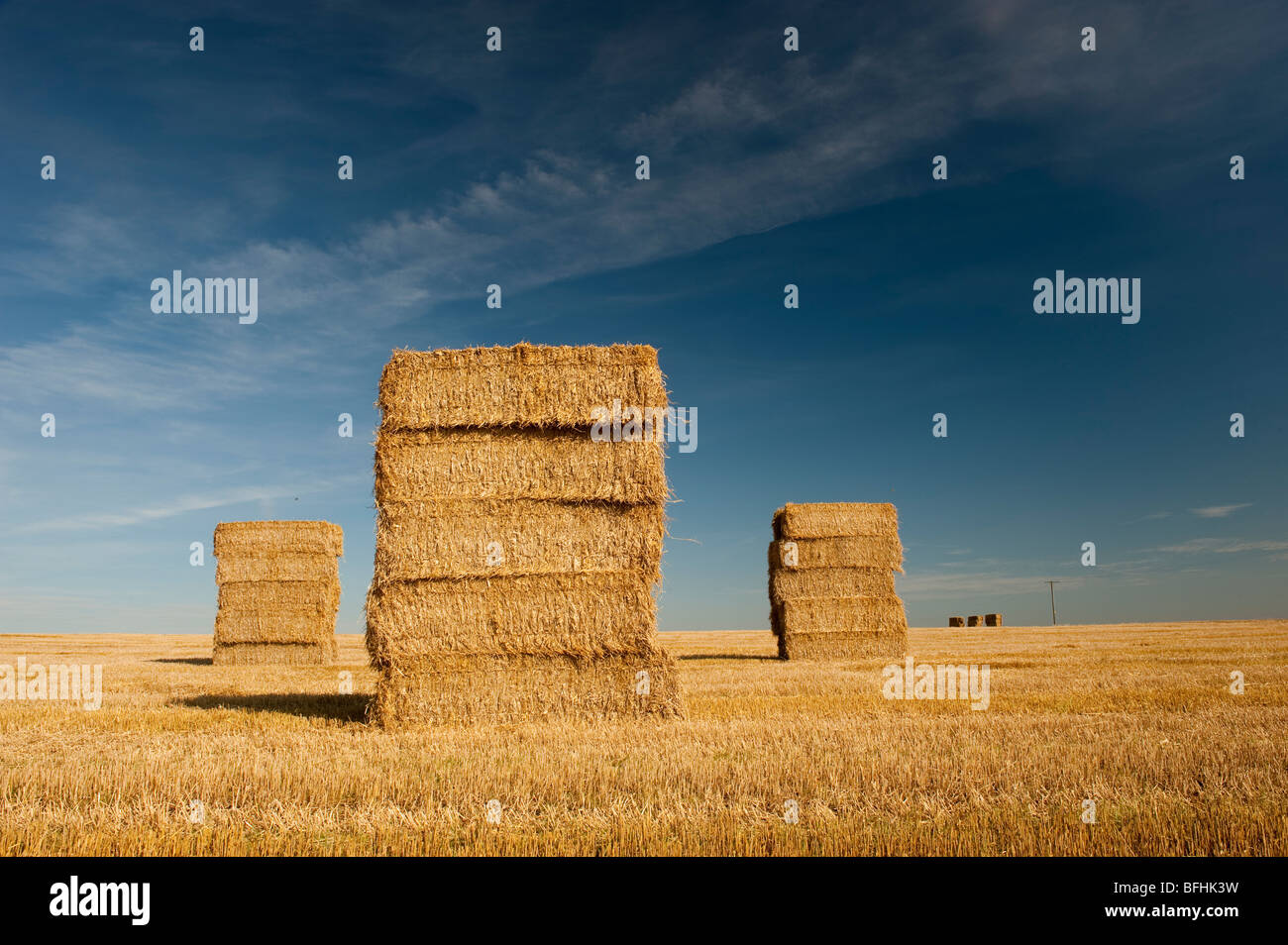 Big bales of Straw stacked on stubble field. Stock Photo
