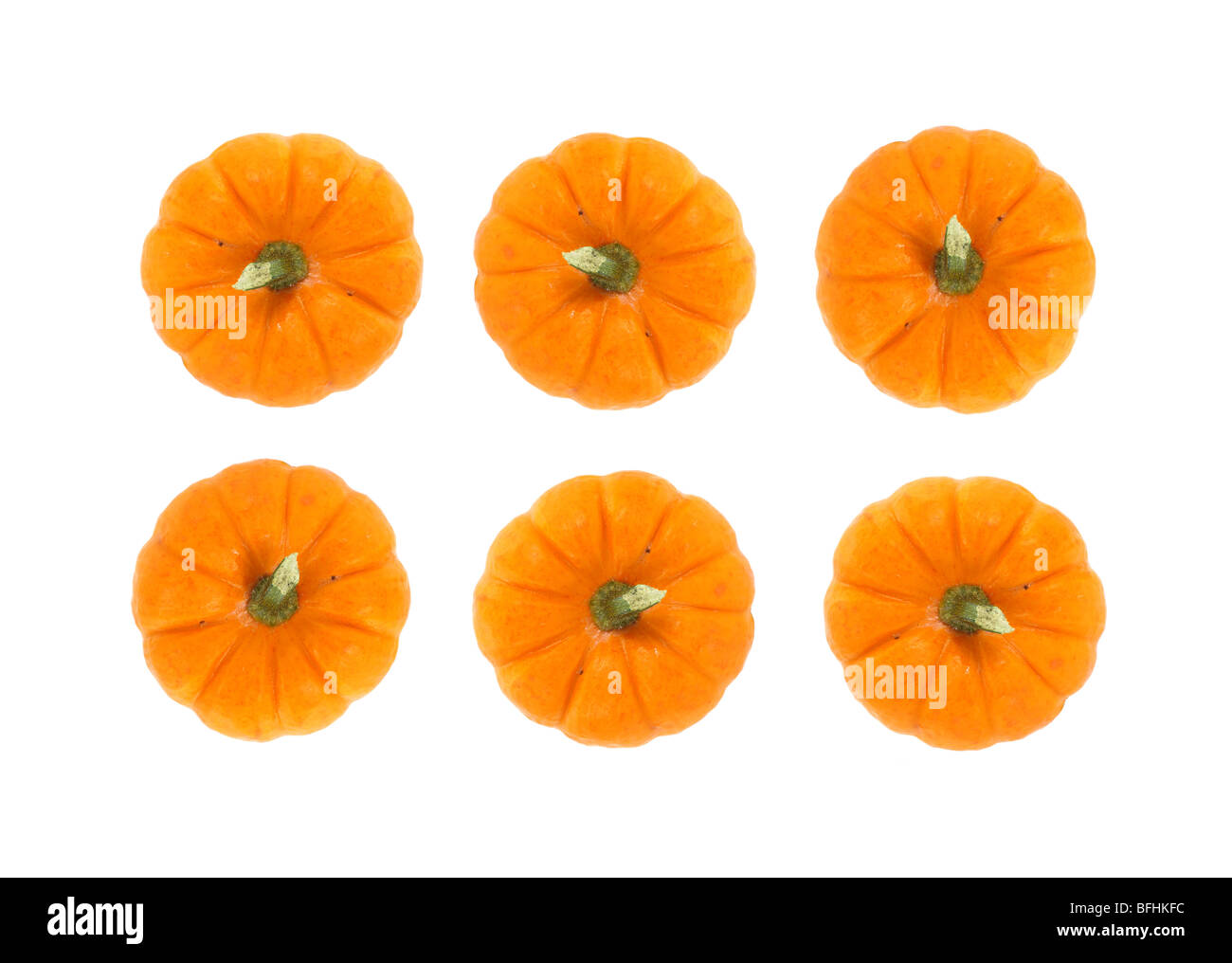Small Thanksgiving pie pumpkins Stock Photo