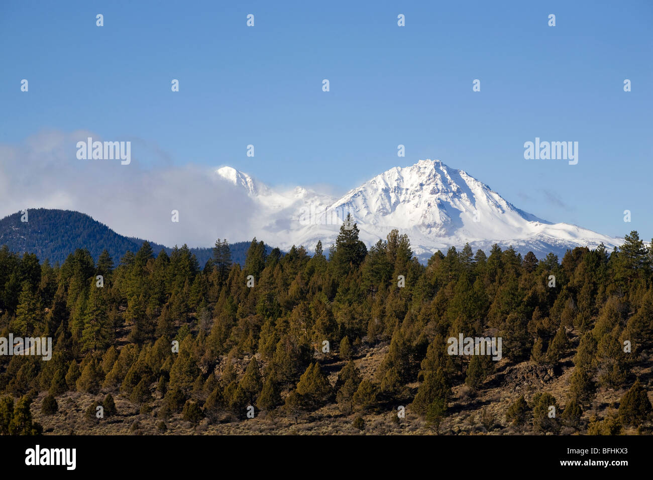 Ponderosa pine and juniper dot the lower slopes of the Cascade Mountains in winter near Bend, Oregon Stock Photo
