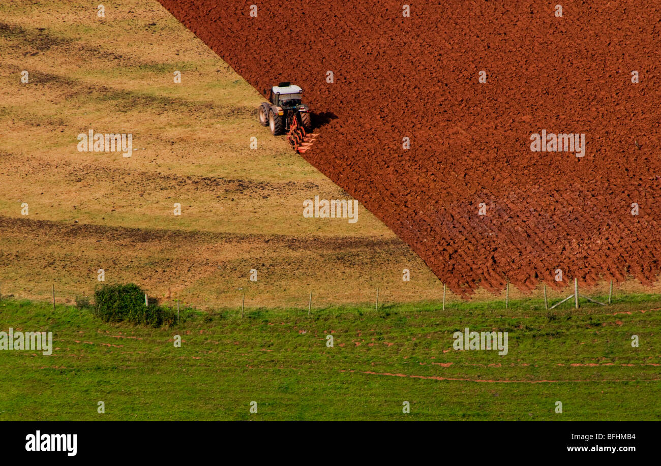 uk, england, Devon, dart valley farming Stock Photo