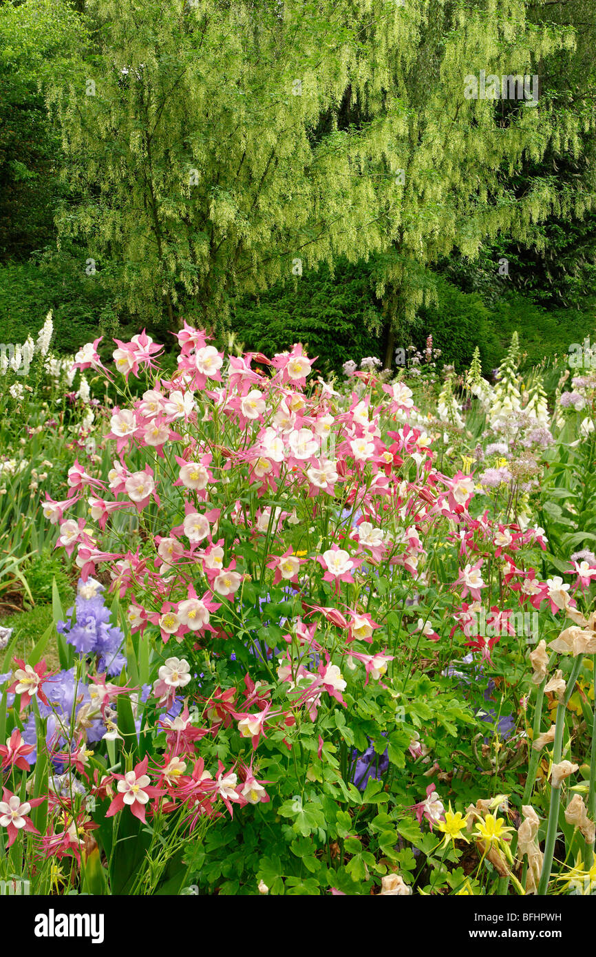 Salem garden hires stock photography and images Alamy