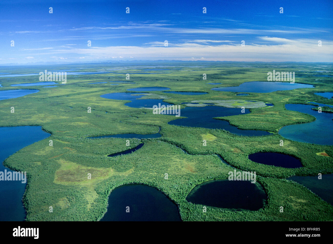 Wet tundra, Old Crow Flats, northcentral Yukon, Arctic Canada Stock Photo Alamy