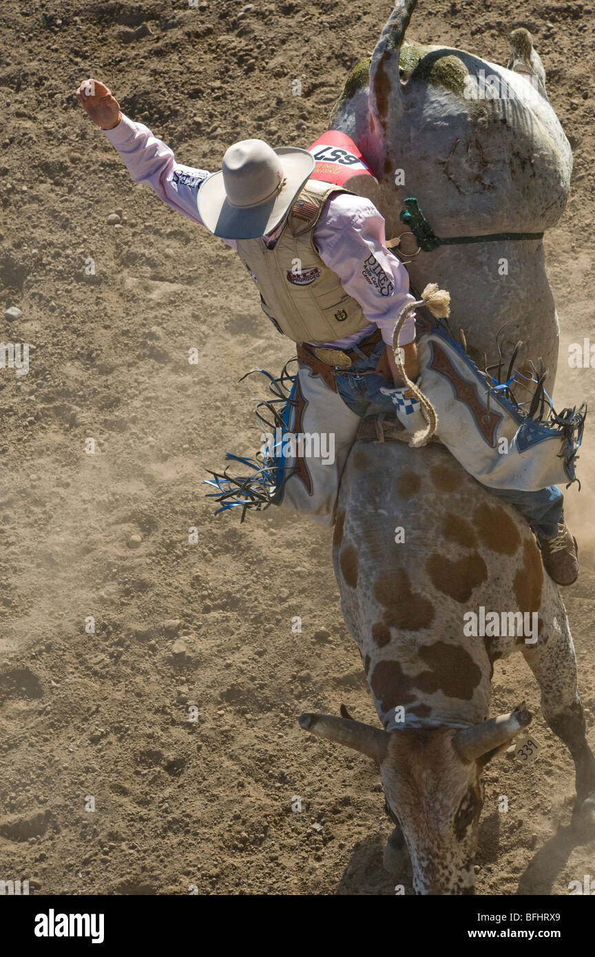 Barrel boots brahma buck hi res stock photography and images Alamy