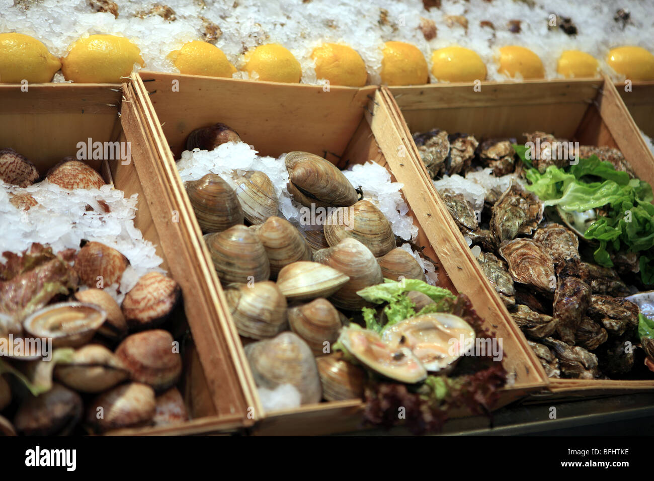 Exoskeleton bearing aquatic invertebrates hi-res stock photography and ...