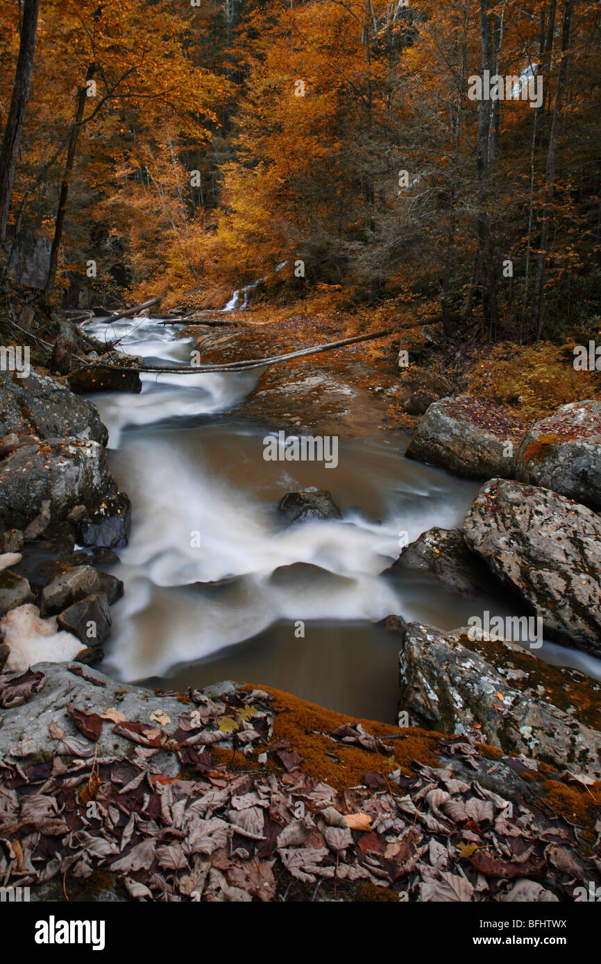 Glade Creek State Park West Virginia in USA landscape nobody from above