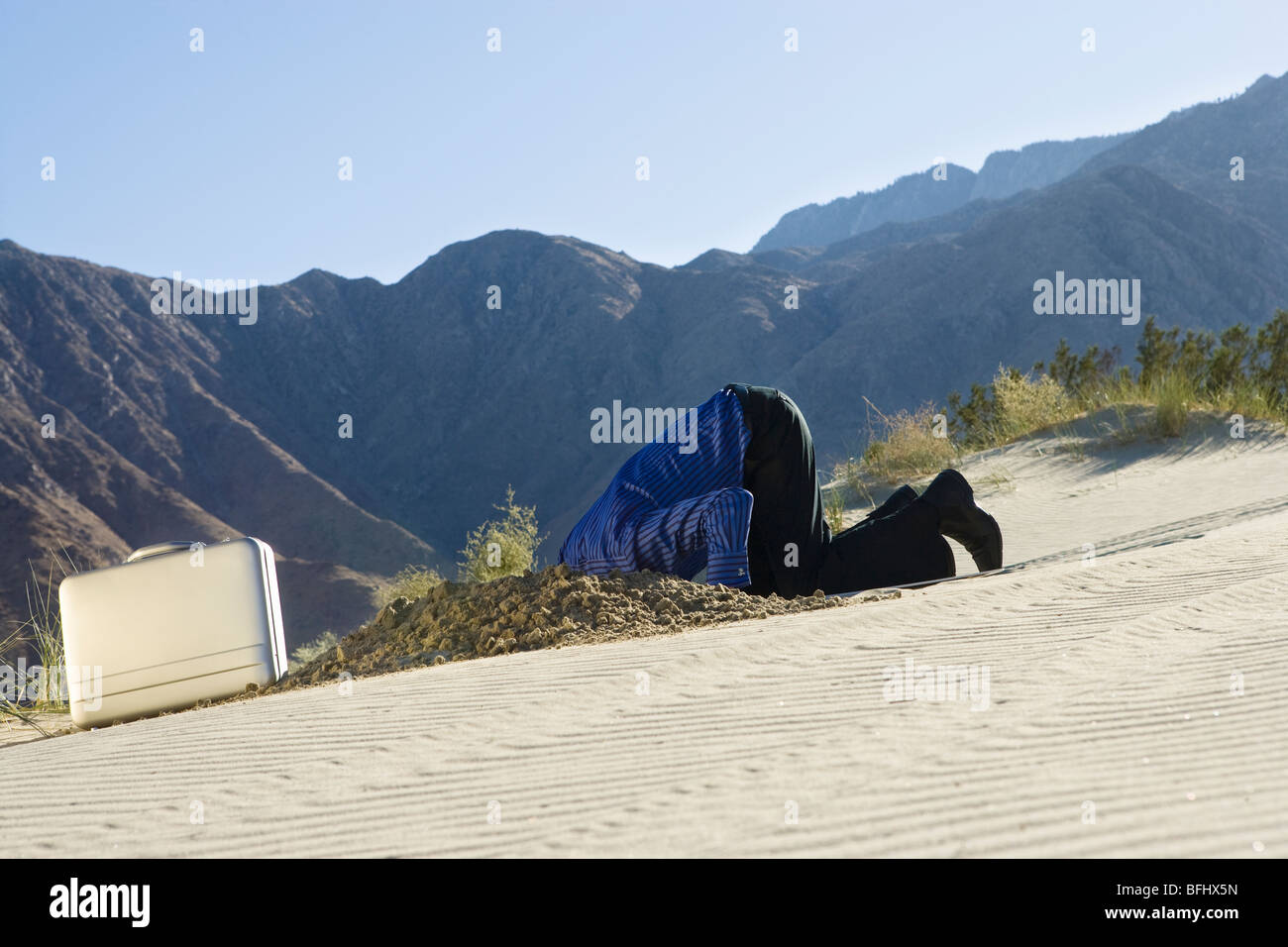 Person burying head in the sand hires stock photography and images Alamy