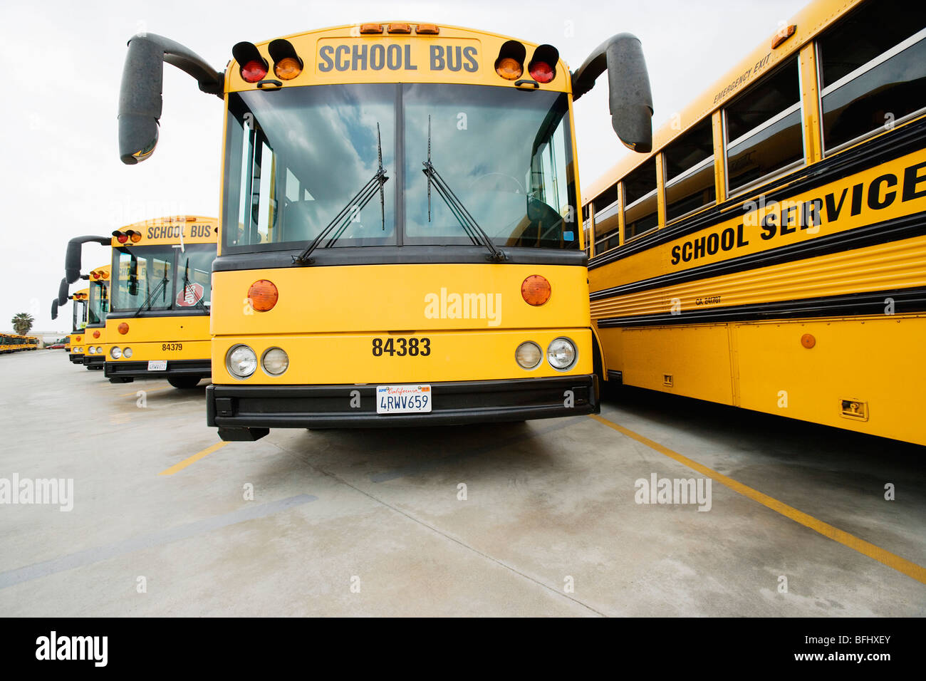 School Busses Parked in Lot Stock Photo