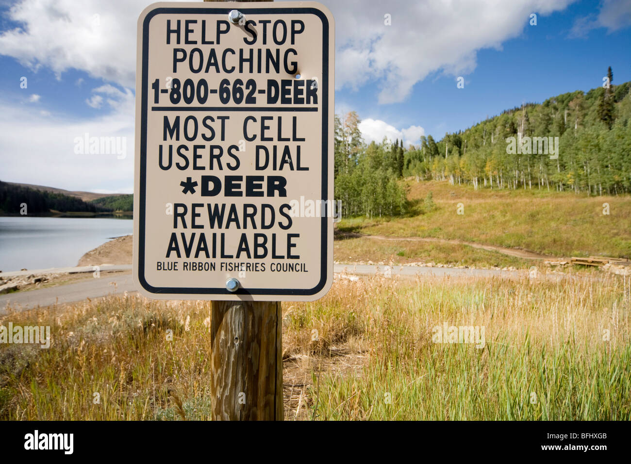 A Help Stop Poaching sign at Huntington (Mammoth) Reservoir along Huntington and Eccles Canyon National Scenic Byway Utah Stock Photo
