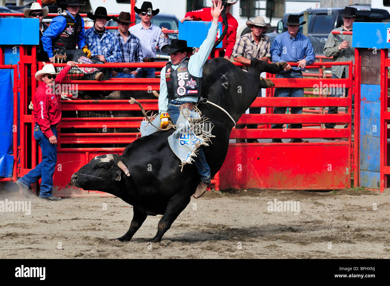 Cowboy bull riding at the Luxton Pro Rodeo in Victoria, BC Stock Photo ...