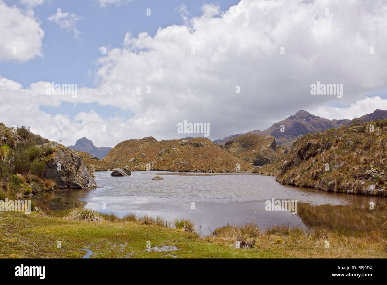 A scenic view of Cajas National Park near Cuenca, Ecuador. Stock Photo