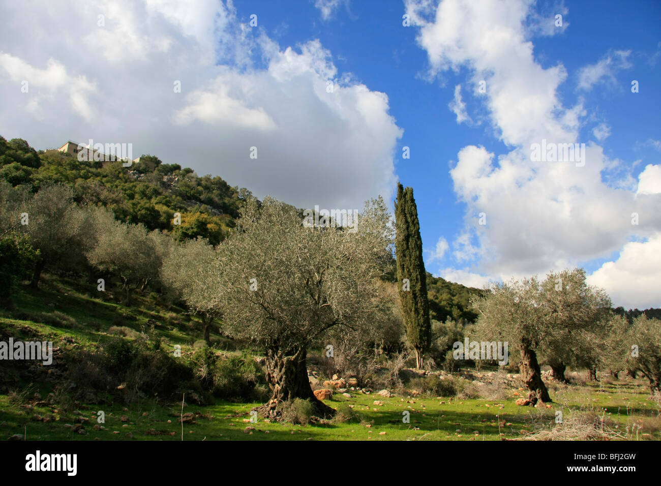 Muhraka carmelite monastery hi-res stock photography and images - Alamy