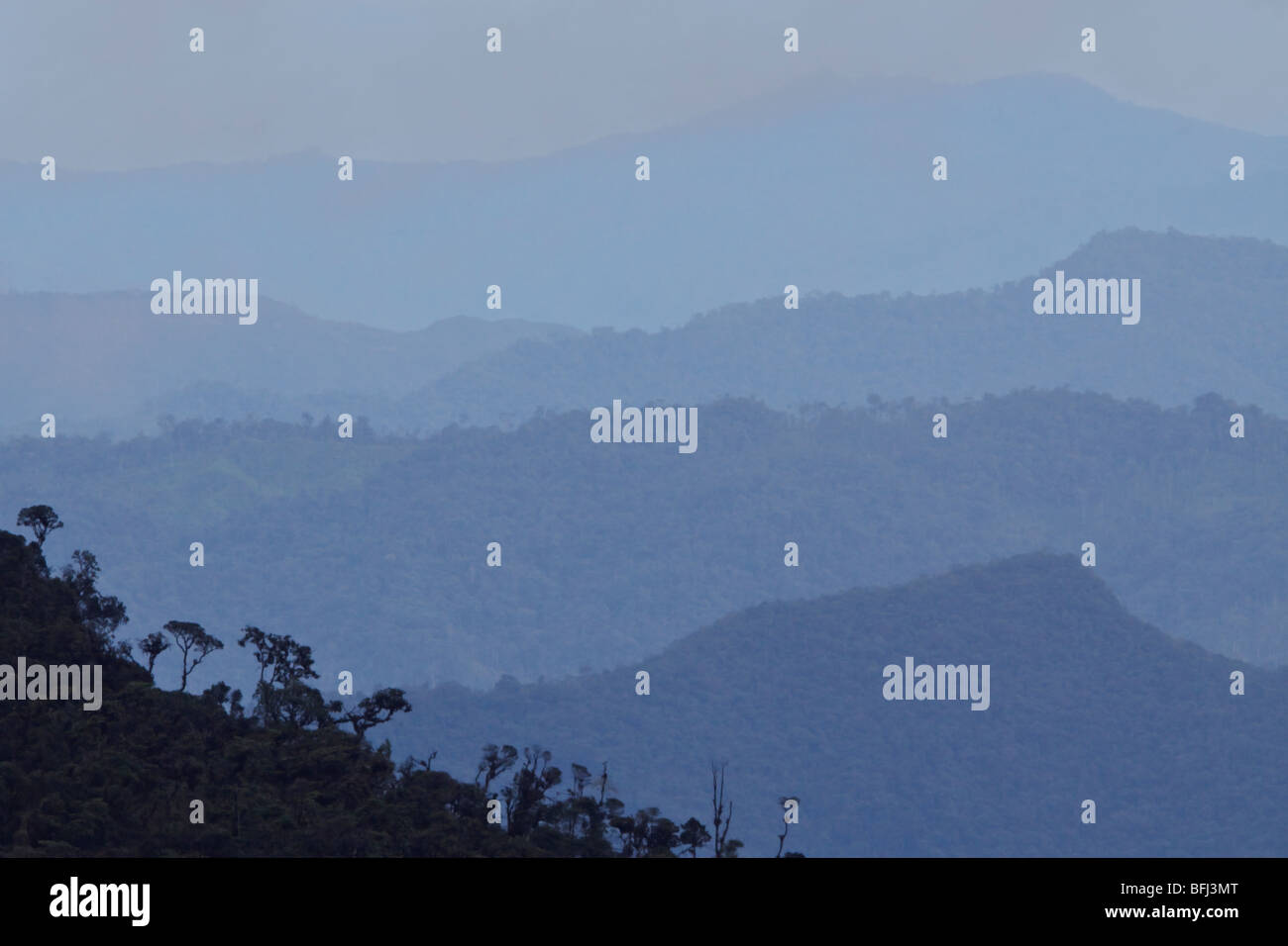 A scenic view of the cloudforest from the Tapichalaca reserve in southeast Ecuador. Stock Photo