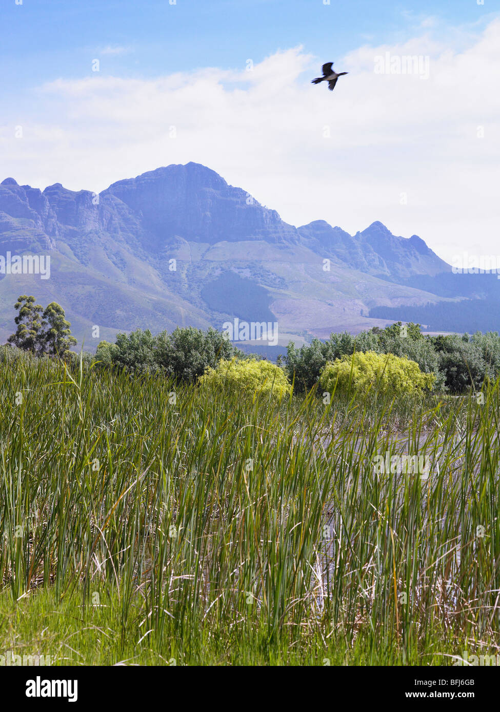 Wide Open Spaces South Africa High Resolution Stock Photography and ...