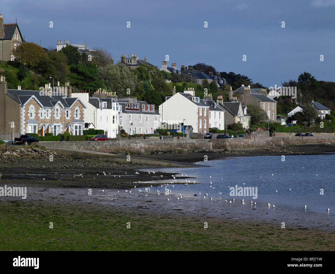 Shore side Houses, Campbeltown, Argyll, Scotland Stock Photo Alamy