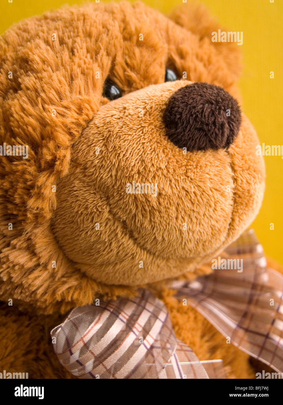 Close up of a soft cuddly brown teddy bear. Stock Photo