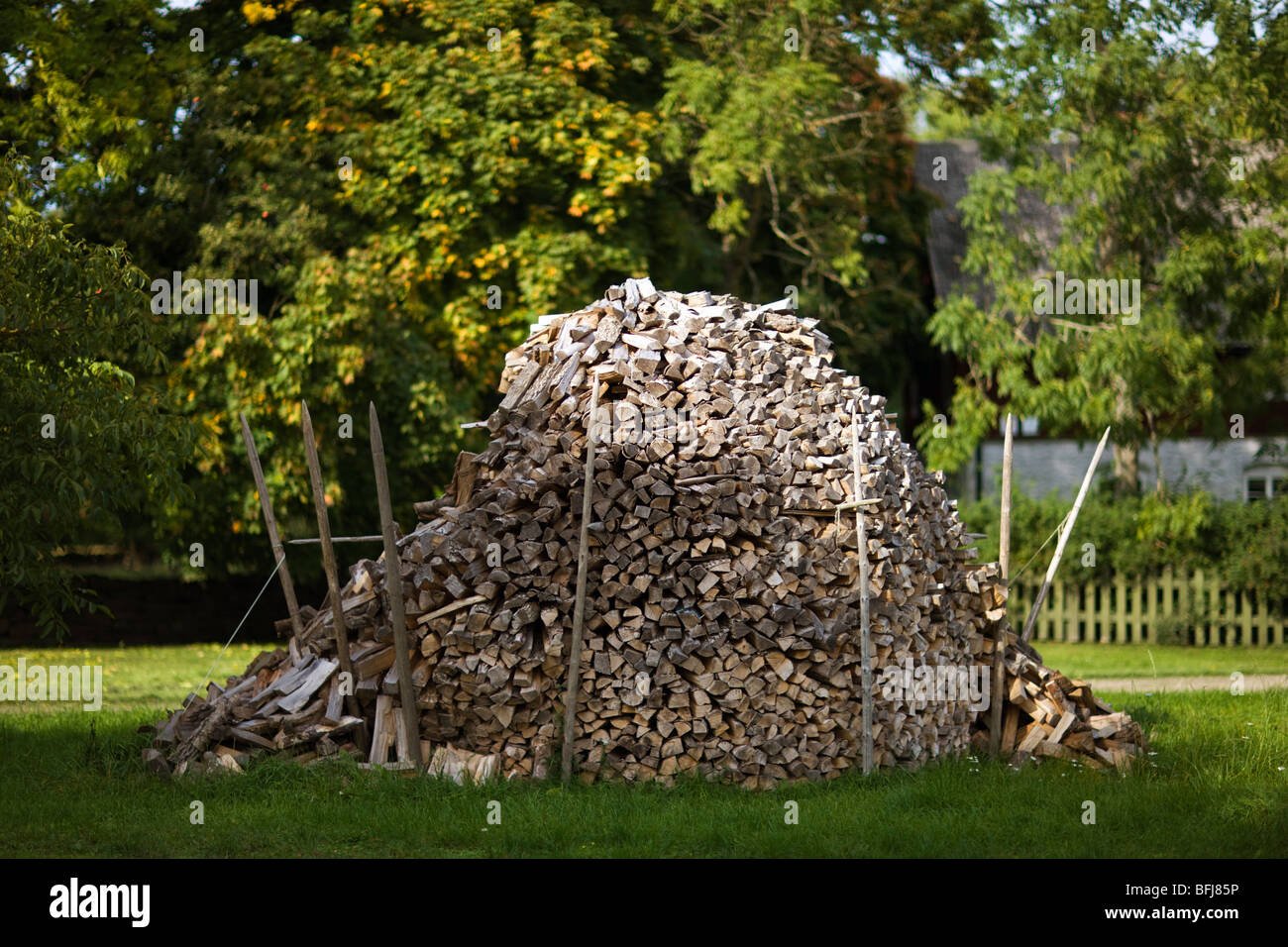 A stack of wood, Sweden Stock Photo - Alamy