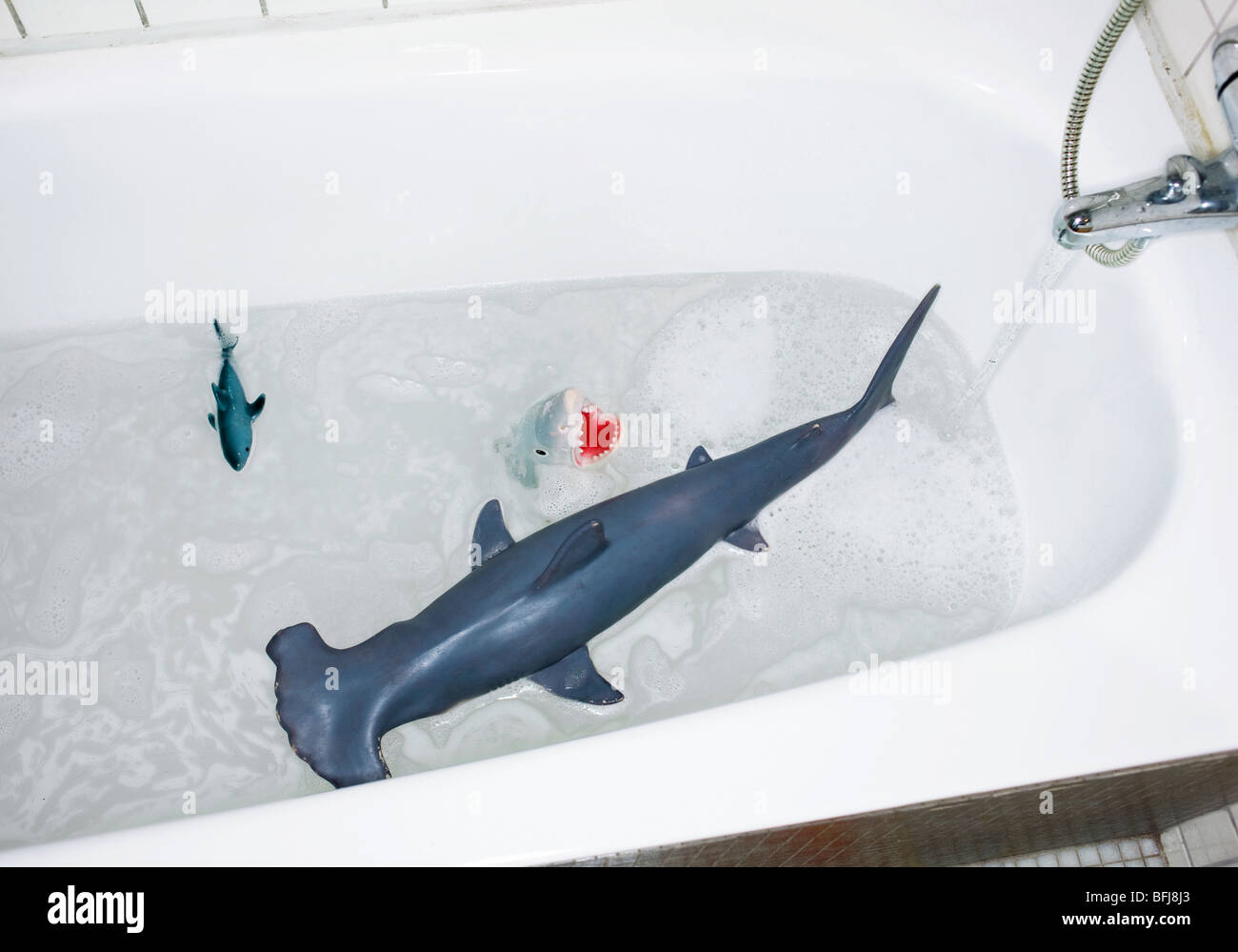 shark tub toys