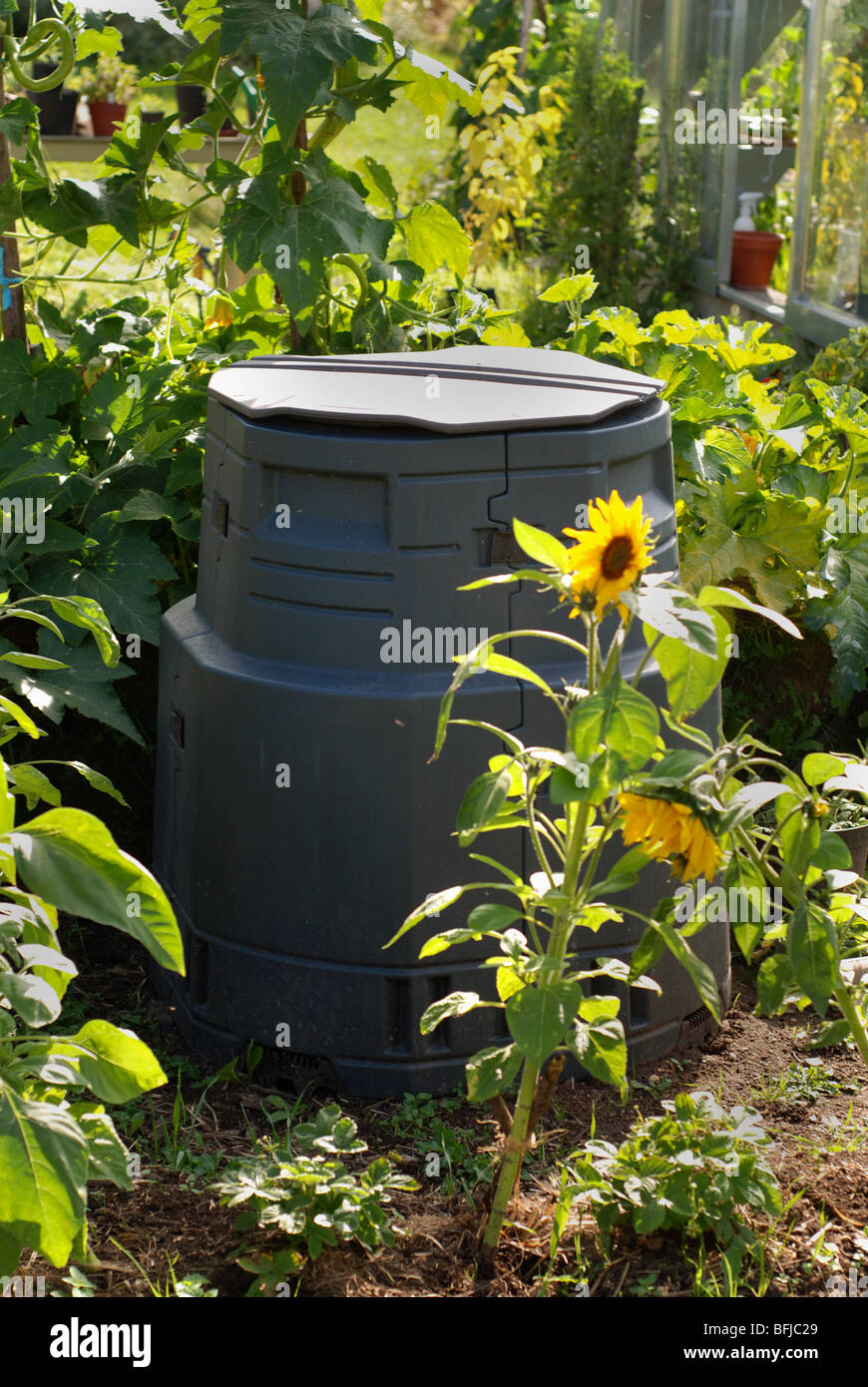 Compost Bin Stock Photo