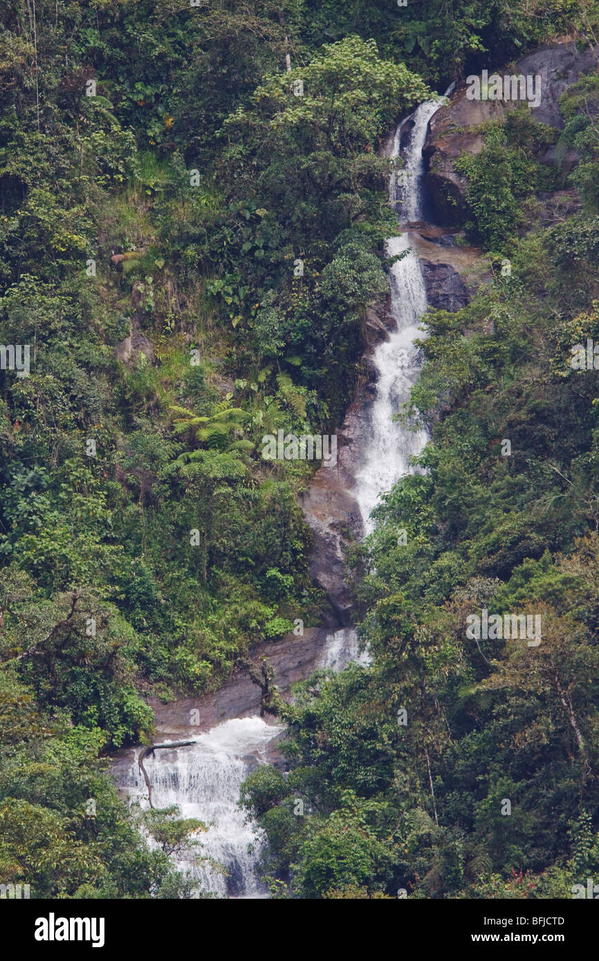 A waterfall in Podocarpus national Park in southeast Ecuador. Stock Photo