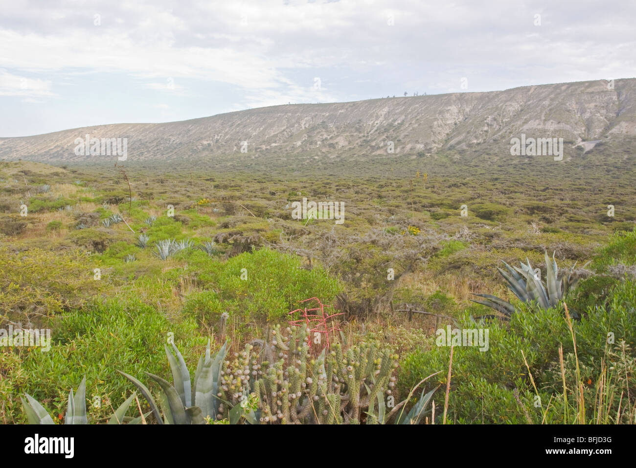 The Jerusalem protected area in central Ecuador. Stock Photo