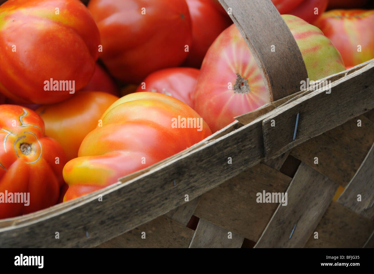 Freshly Picked Heirloom Tomatoes in Wood Basket Stock Photo - Alamy