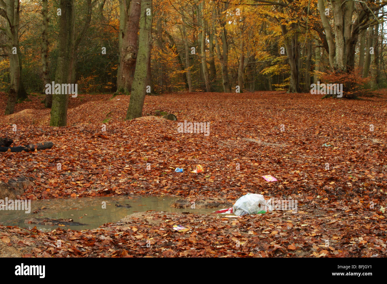 Littering in Downley woods close to Le de Spencers Arms, High Wycombe, Buckinghamshire, United Kingdom Stock Photo