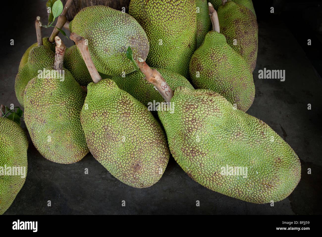Jackfruit (Artocarpus heterophyllus or Artocarpus heterophylla