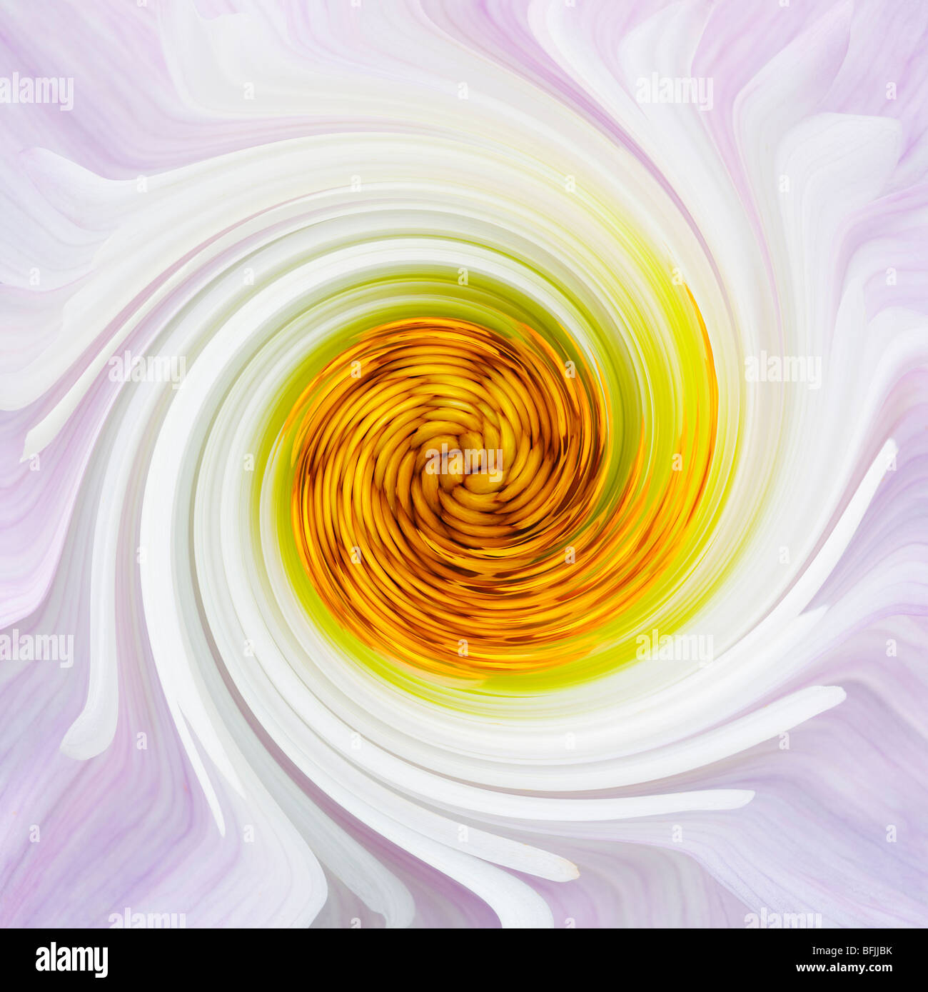 Abstract pink swirl hi-res stock photography and images - Alamy