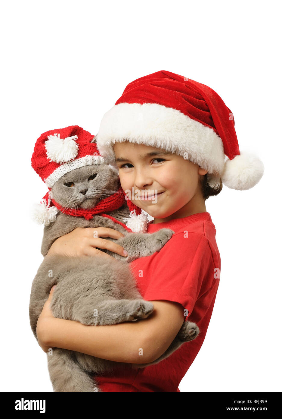 Young boy in santa hat with cat on white background Stock Photo
