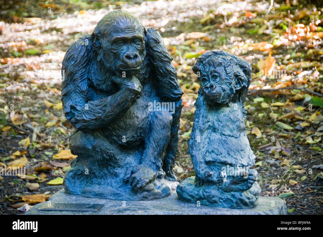 Sculpture in Baltimore Baltimore Zoo Gorilla, Valerie Walter Stock Photo