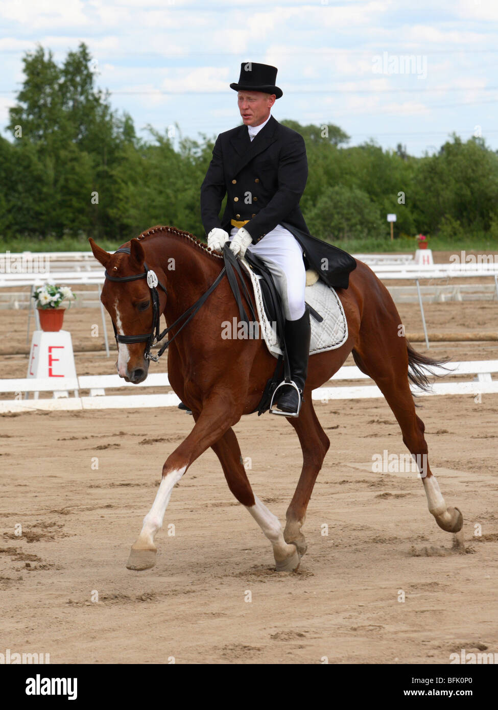 Rider and horse in the dressage competition in the Moscow Three Day Event, international equestrian event Stock Photo