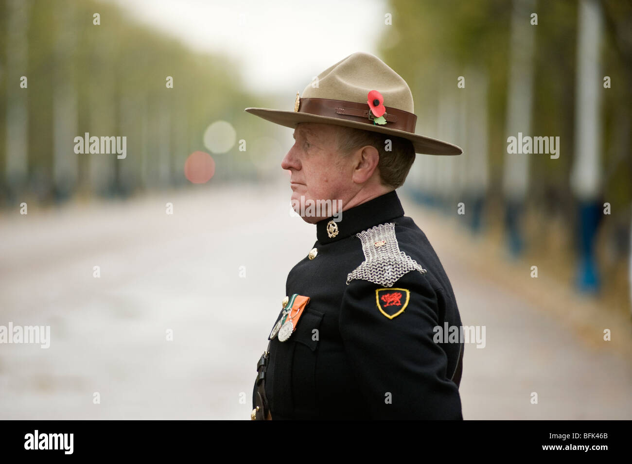 Australian ex serviceman at attention on Remembrance day London, UK Stock Photo