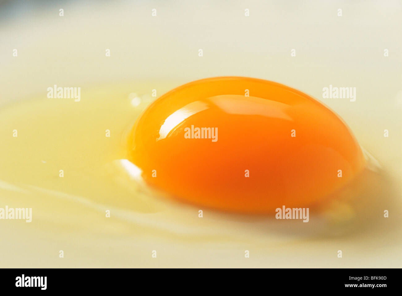 Egg close up Stock Photo