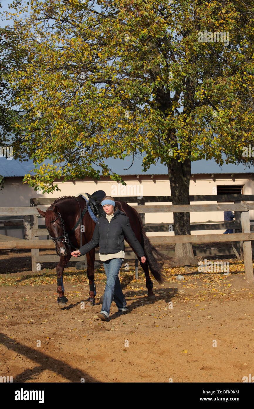 A young girl leads her horse back to stables Stock Photo