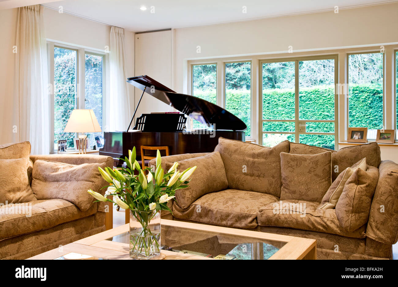 A stylish smart modern lounge, living or sitting room with a baby grand piano and vase of white lilies Stock Photo