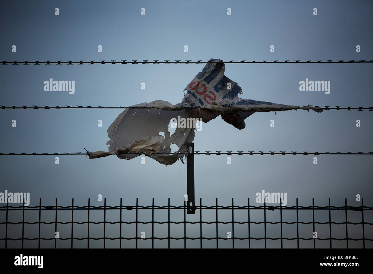 A barbed wire fence and plastic bag rubbish blowing in wind Stock Photo